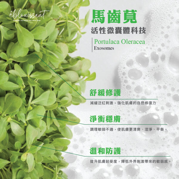 潤澤舒緩洗顏粉(30入)